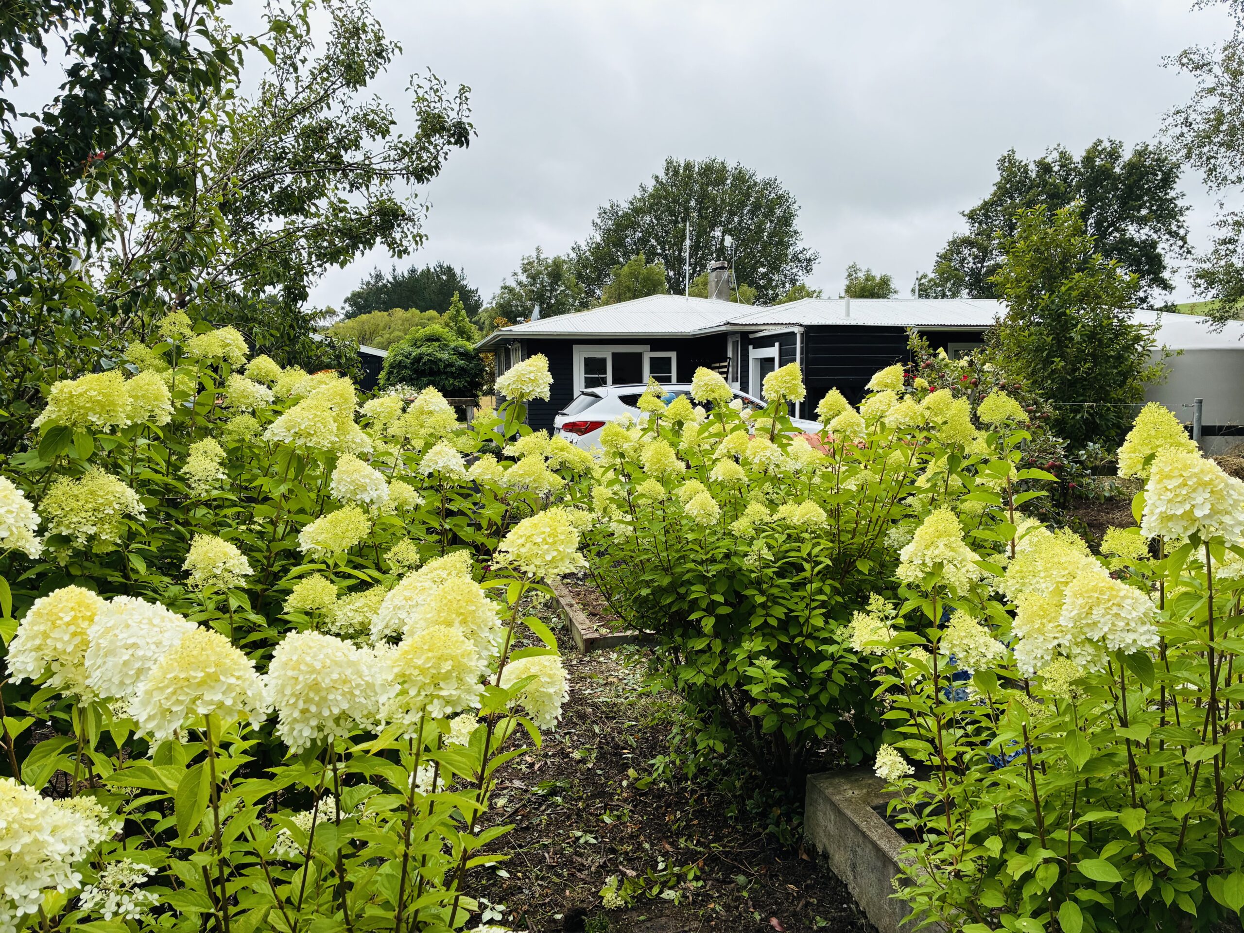 The Cottage